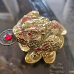 Gold Toad Money Magnet