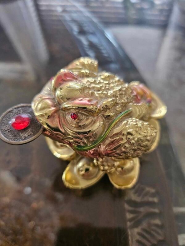 Gold Toad Money Magnet