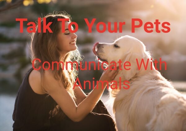 talk to animals